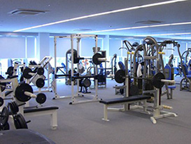 フィットネスジムやプールなど職場環境もディスコの自慢です！